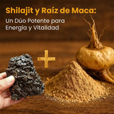 SHILAJIT GOLD + MACA - Vuelve a sentirte fuerte, activo y seguro.